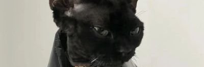 Finnny_sub's profile banner image
