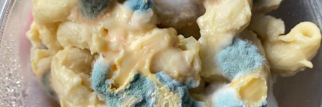 xshister fossfeenva wife banner