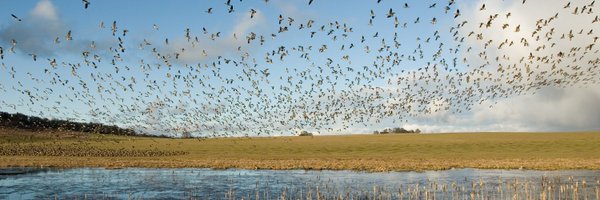 USFWSPacific Profile Banner