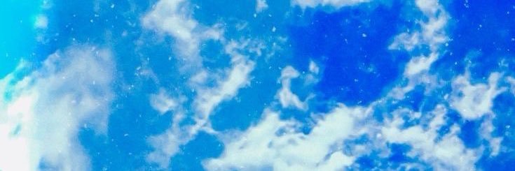 realcheva01's profile banner image