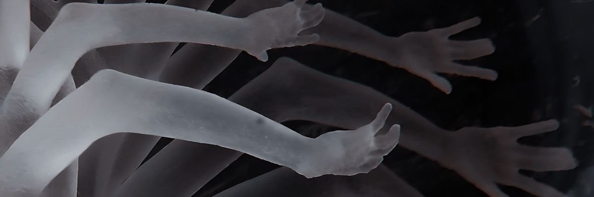 babyapplebmeo's profile banner image