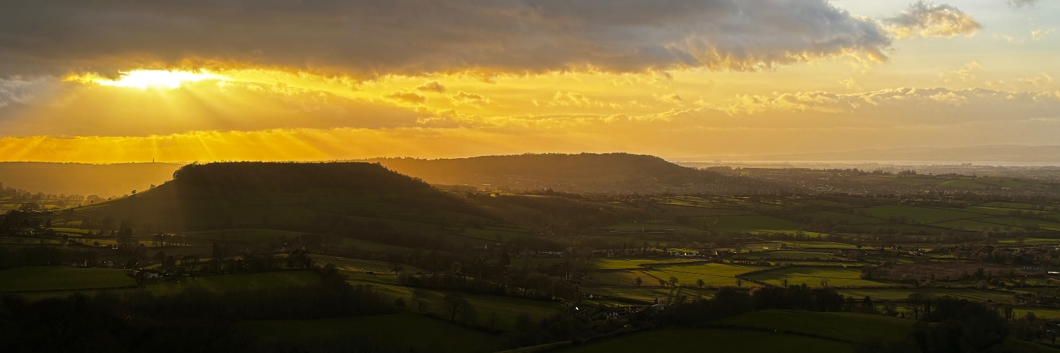 George Ellison banner