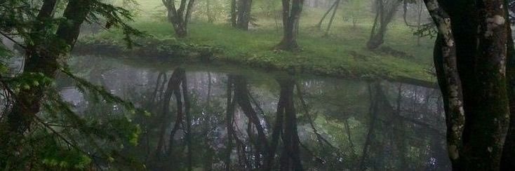 Lafeta L. Ares (ft.ss3) banner