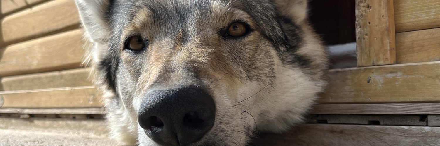 Whattagellah's profile banner image