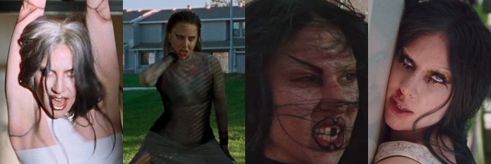 AshleyRepp's profile banner image