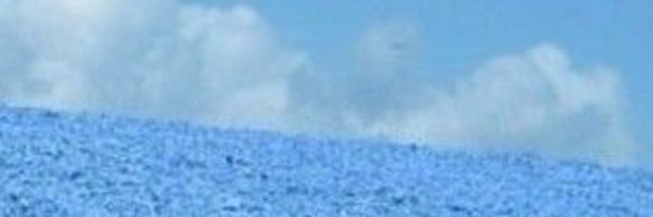 comfortdagger Profile Banner