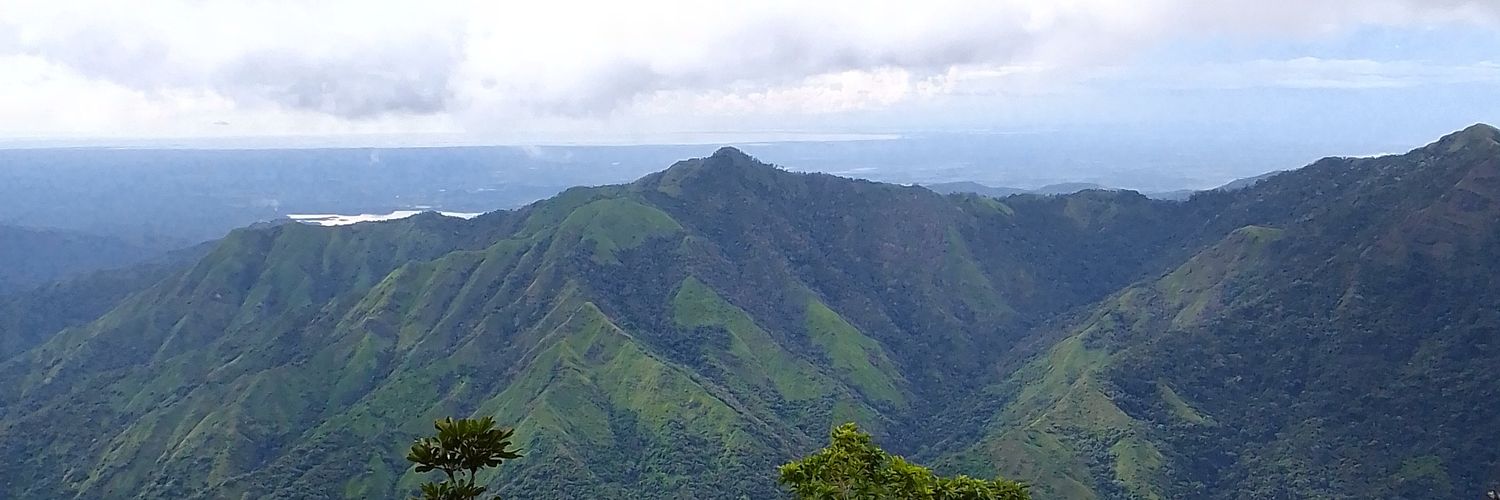 Lianet Martínez banner