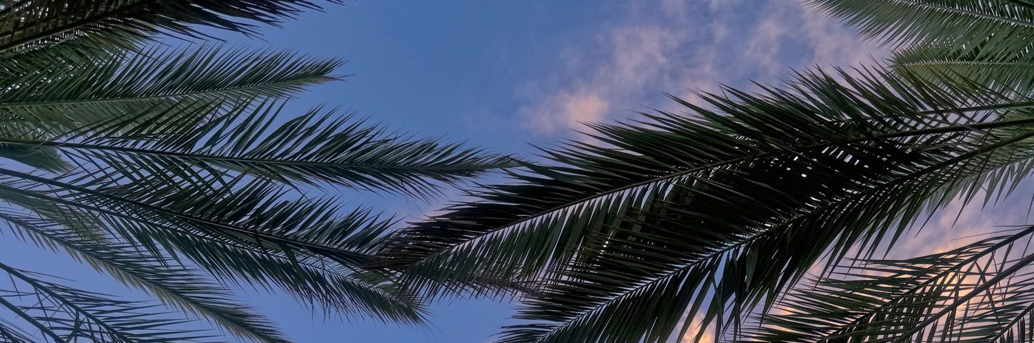 leexoxocc's profile banner image