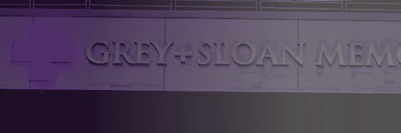 𝐝𝐫. 𝐩𝐨𝐥𝐥𝐲 𝐩𝐨𝐜𝐤𝐞𝐭 ⋆.˚ ⚕ banner