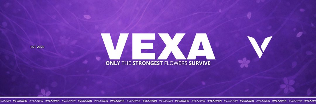 Vexa Fatly banner