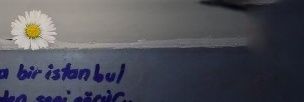 Sevgi_li's profile banner image