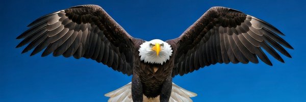 kathy_stan74746 Profile Banner