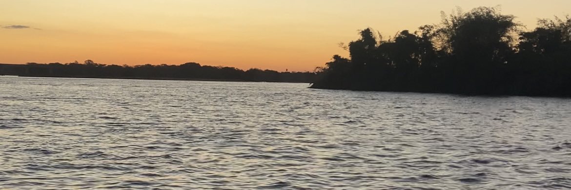 pedroapol's profile banner image