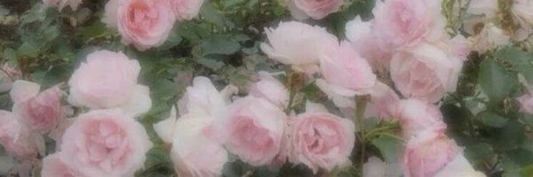 noerinn_ Profile Banner