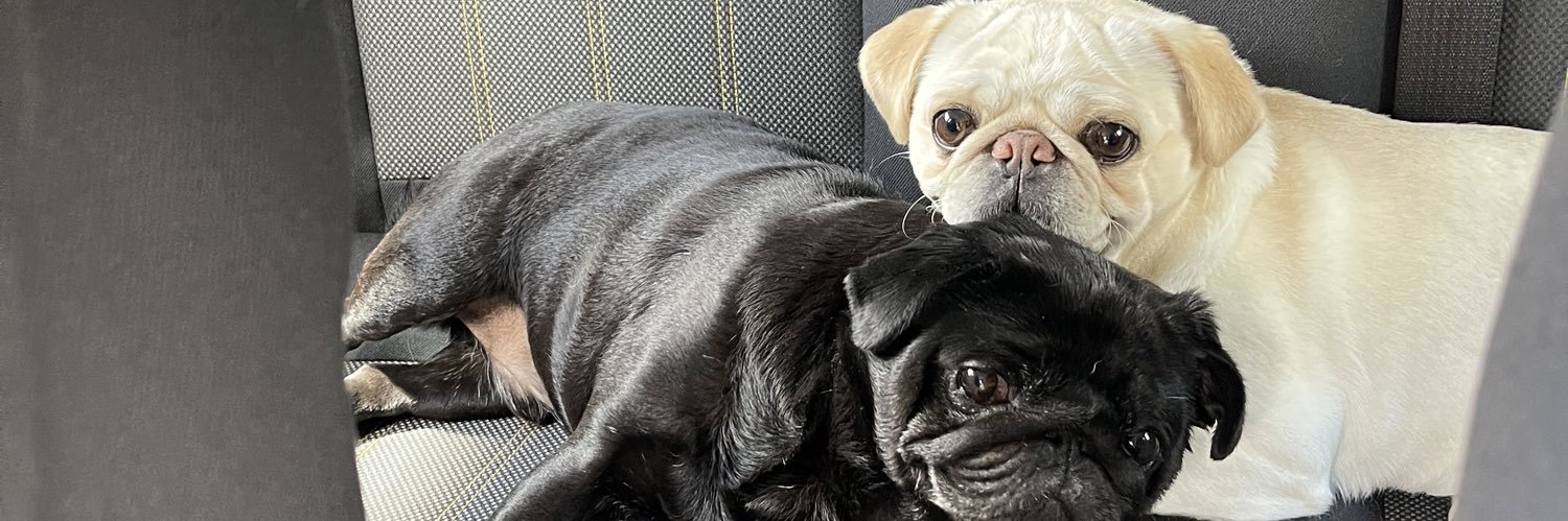 squishy_karl's profile banner image