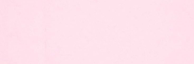 toonjung 🐰( รับฝากประมูล ) banner