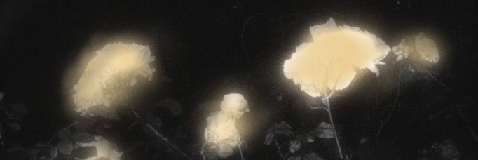 m ♡'s banner