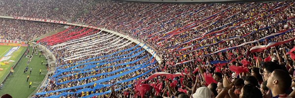 nanzinll Profile Banner