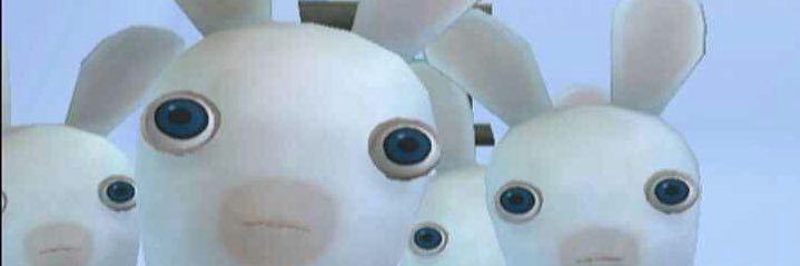 pickled monkey banner