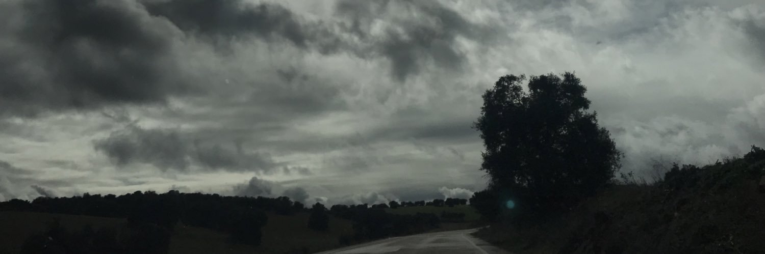 ana_oliver's profile banner image