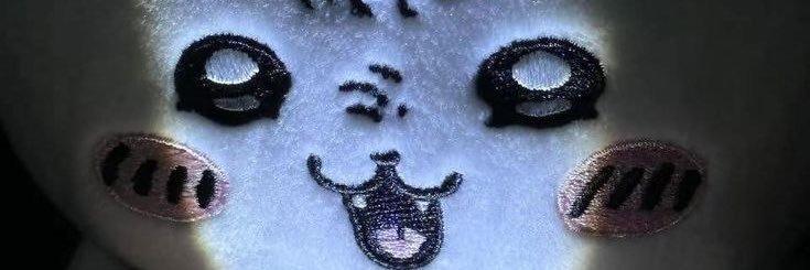 q95ul's profile banner image