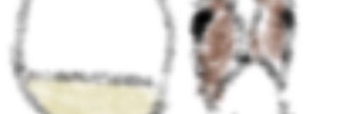 Horse with Wine banner