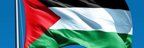 vreer@todon.nl #FreePalestine #ZeroCovid #BIJ1 banner