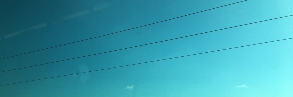 t a d d y banner