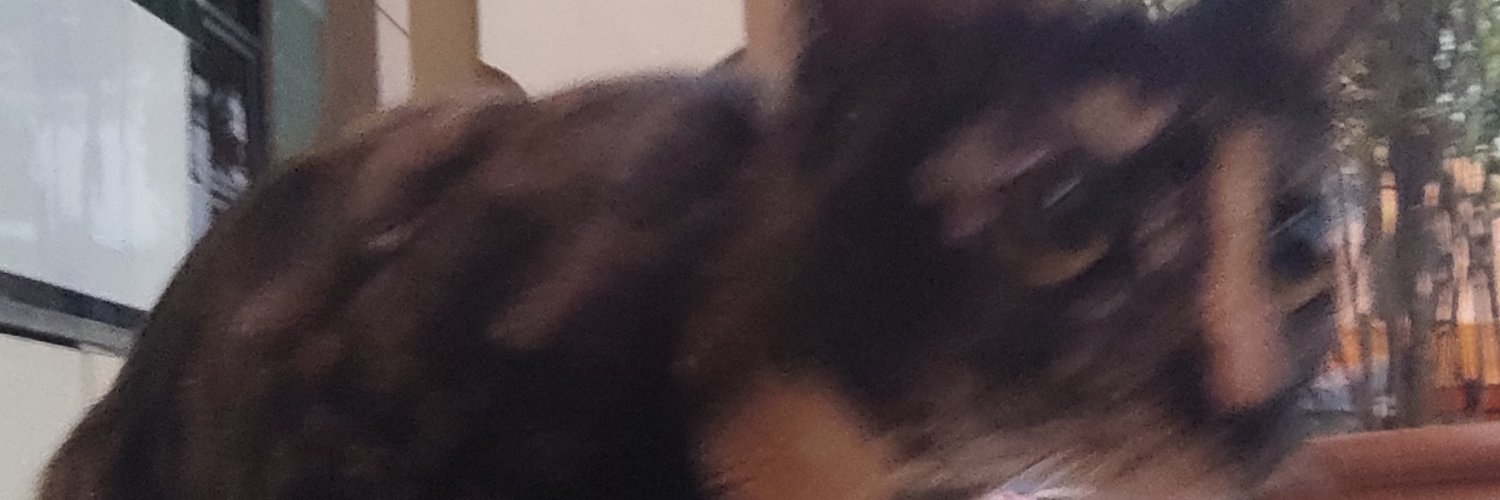 bluaraic's profile banner image