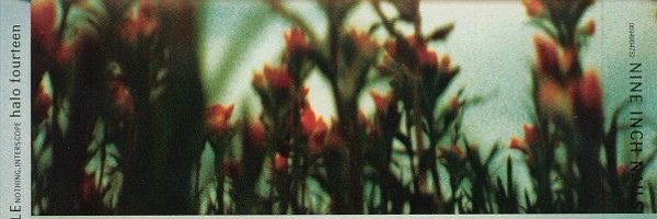 fragility99 Profile Banner