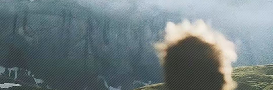 traderwxc's profile banner image