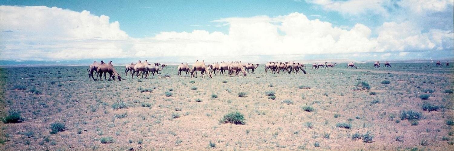 仏塔（stupa） banner