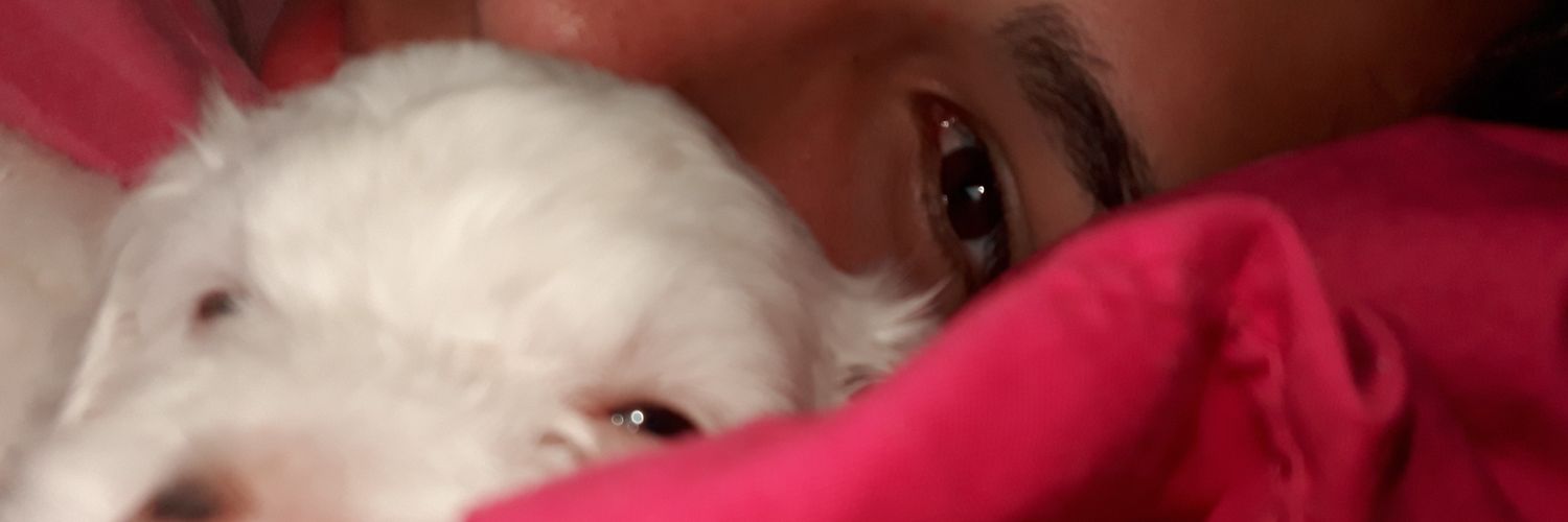 giuly_rc's profile banner image