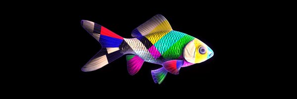 CryptoFish_NFTs Profile Banner