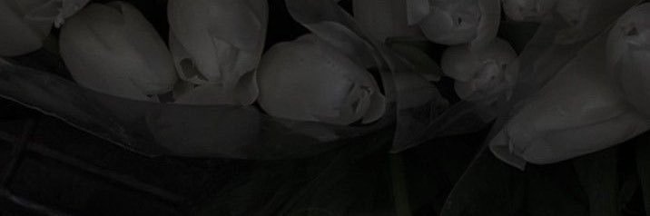 hanasya127's profile banner image