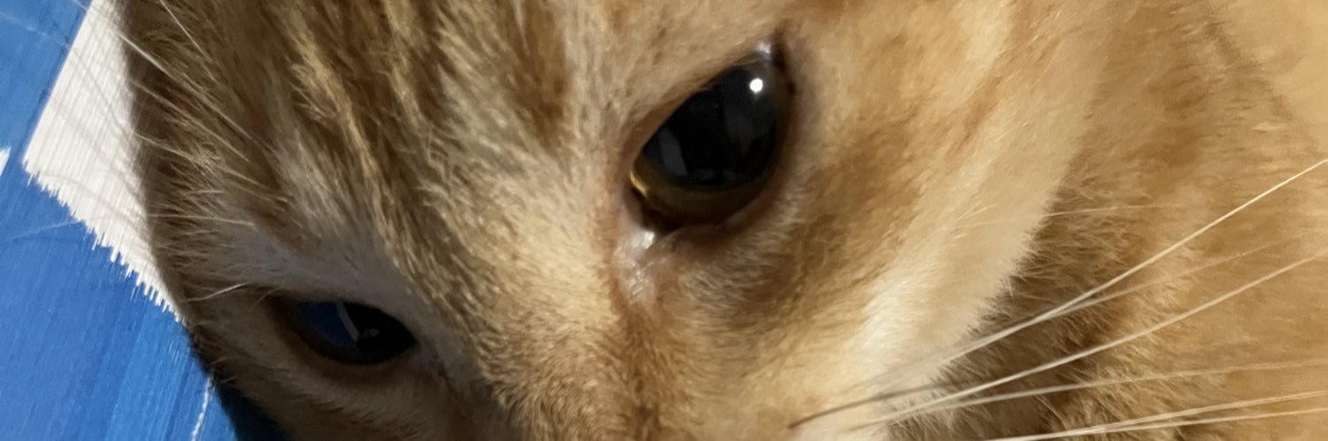 lois lane🏹 banner