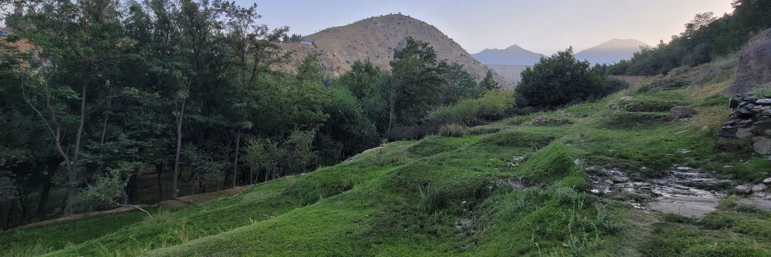 صـــفـــي الـلـــه ســـاحـــل banner