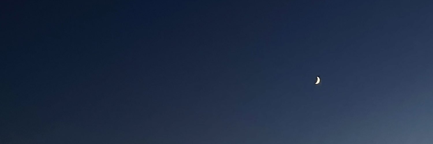 ciara 🌿 banner