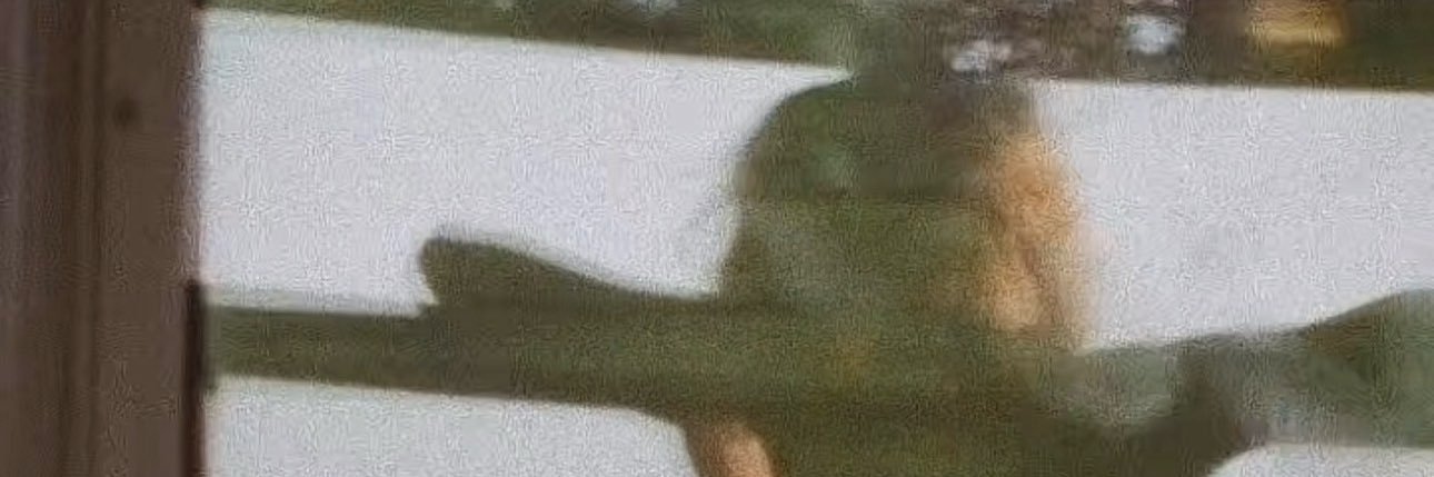 A___iill's profile banner image
