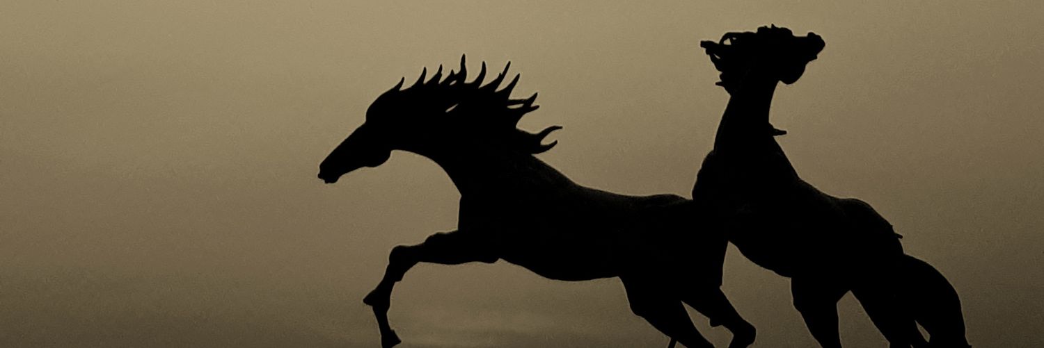 destyanptra's profile banner image