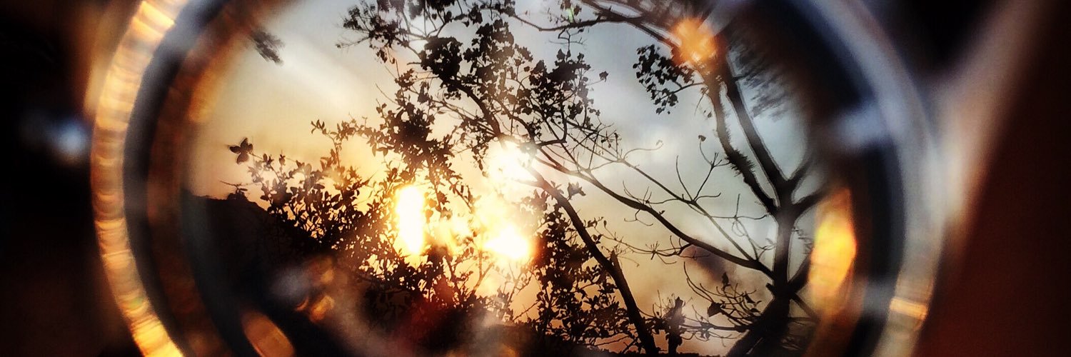 Jonesfelix28's profile banner image