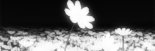 jenny humphrey🖤 banner