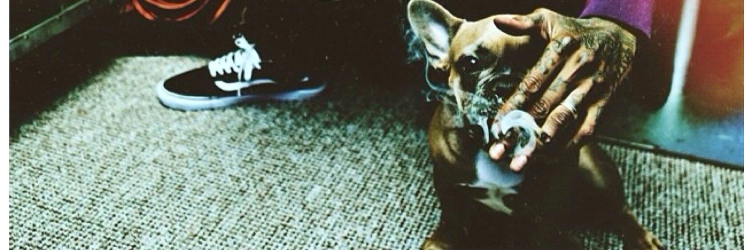 FashioStifler's profile banner image