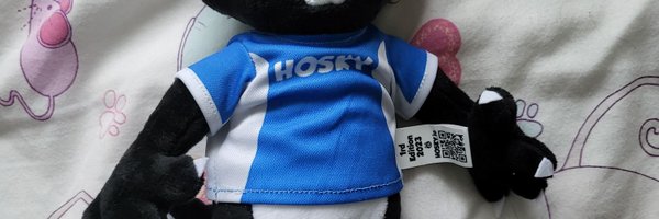 HoskyDevVegas Profile Banner