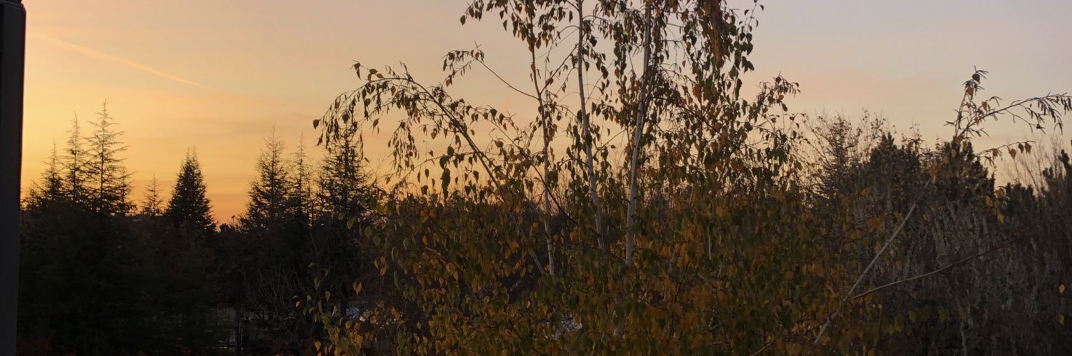EceGocerr's profile banner image