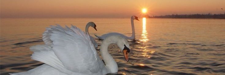 bloguumm's profile banner image