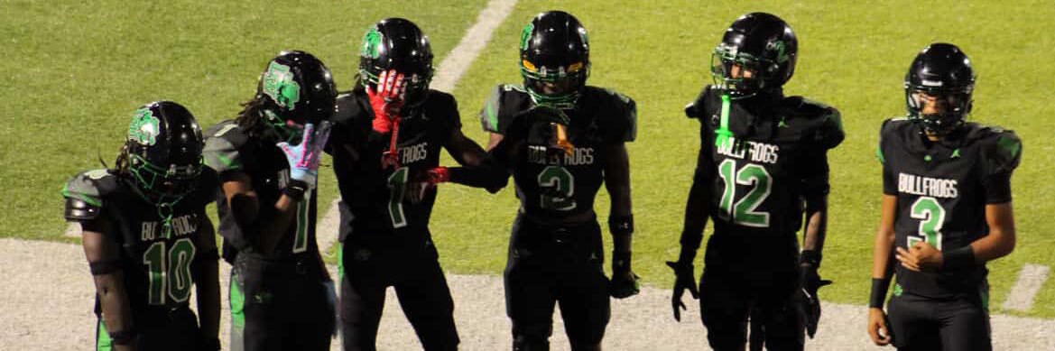 Ashton Williams banner