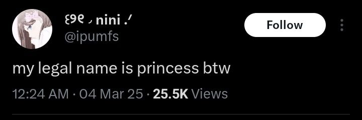princess banner