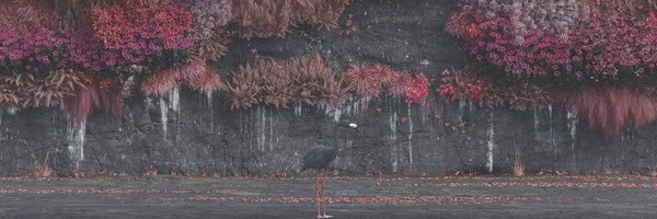 vessol1 Profile Banner