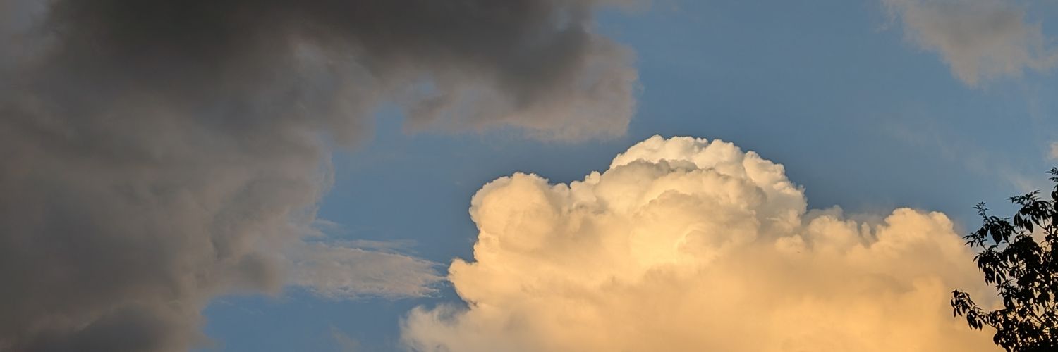 shettytj's profile banner image